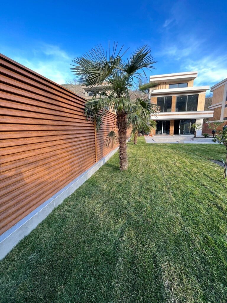 Основное изображение