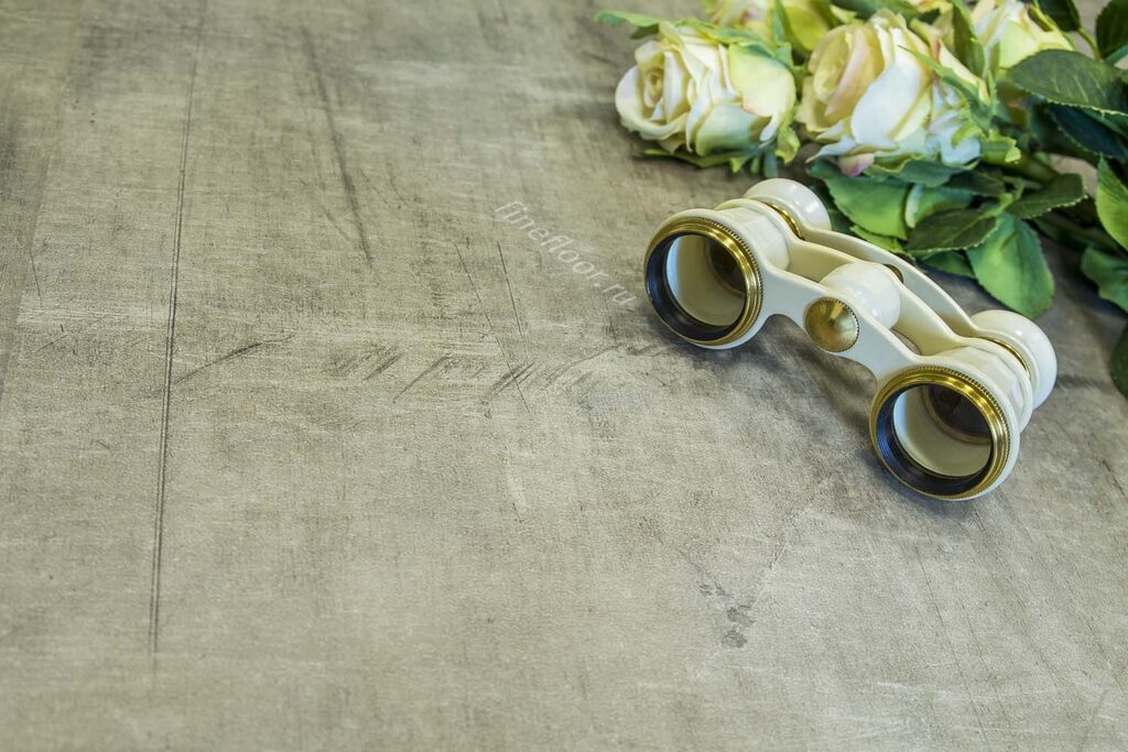 Основное изображение