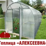 Теплица Алексеевна 2,5х8х2,3м комплектация Премиум - Изображение 1