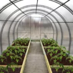 Рама-грядка для теплицы 3х4м (брус 50х150мм, обработан антисептиком) (комплектация: 4м*4шт, 3м*2шт, 1м*2шт) - Изображение 1