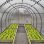 Рама-грядка для теплицы 3х8м (брус 50х150мм, обработан антисептиком) (комплектация: 4м*8шт, 3м*2шт, 1м*6шт) - Изображение 1