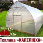 Теплица Капелюха 3х8х2,3м комплектация Эконом - Изображение 1