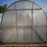 Теплица Алексеевна 2,5х8х2,3м комплектация Премиум - Изображение 2