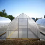 Теплица Капелюха 3х8х2,3м комплектация Эконом - Изображение 2