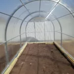 Теплица Алексеевна 2,5х8х2,3м комплектация Комфорт - Изображение 3