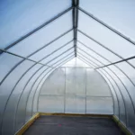 Теплица Капелюха 3х8х2,3м комплектация Эконом - Изображение 3